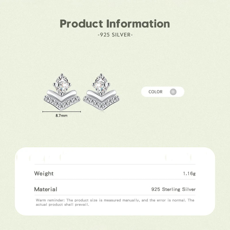 Sterling Silver Exquisite Stud Earrings