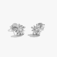Mini Irregular Shining Star 925 Sterling Silver Stud Earrings