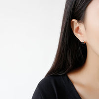Casual Geometry Round Crystal 925 Sterling Silver Hoop Earrings