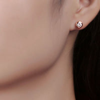 Round Moissanite Crystal 925 Sterling Silver Stud Earrings