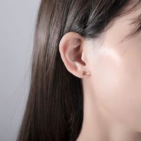 Round Cubic Zirconia 925 Sterling Silver Stud Earrings