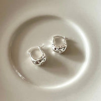 S925 Pure Silver Irregular Earrings