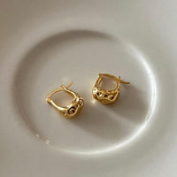 S925 Pure Silver Irregular Earrings
