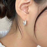 S925 Pure Silver Irregular Earrings