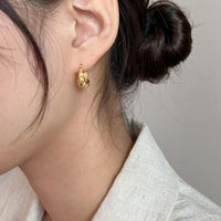 S925 Pure Silver Irregular Earrings