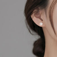 White Rose Flower 925 Sterling Silver Stud Earrings