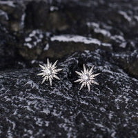 Octopu Stars Crystal Sterling Silver Stud Earrings