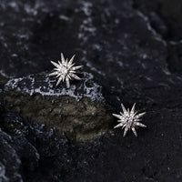 Octopu Stars Crystal Sterling Silver Stud Earrings