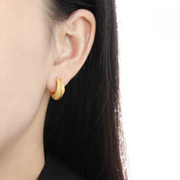Matte Geometric Hoop Earrings in 925 Sterling Silver with Cubic Zirconia