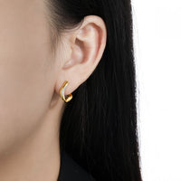 Micro Crystal Irregular Circle 925 Sterling Silver Hoop Earrings
