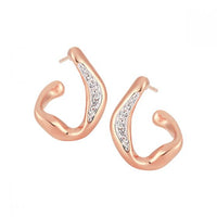 Micro Crystal Irregular Circle 925 Sterling Silver Hoop Earrings