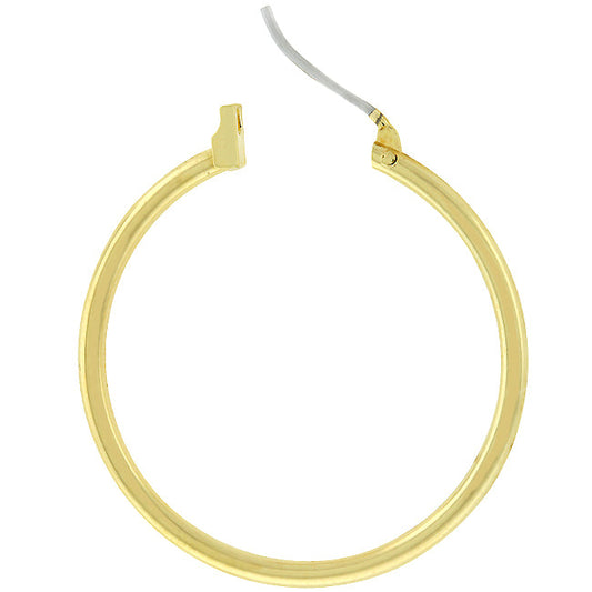 Goldtone Hoop Earrings
