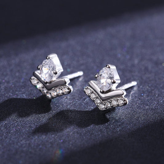 Sterling Silver Exquisite Stud Earrings