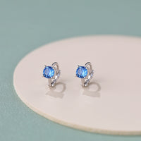 Sterling Silver Small Hoop Earrings