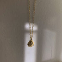 Conch Shell Necklace in 925 Sterling Silver
