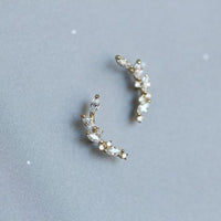 Tree Branch Crystal Sterling Silver Stud Earrings