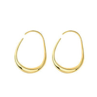Geometry Hollow Irregular Circle Hoop Earrings