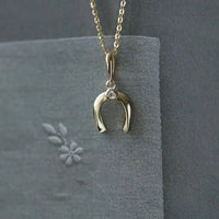 Gold Plated Sterling Silver Horseshoe Necklace