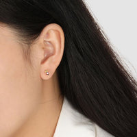 Red Crystal Heart Crown 925 Sterling Silver Stud Earrings