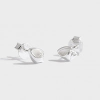 Mini Conch 925 Sterling Silver Stud Earrings