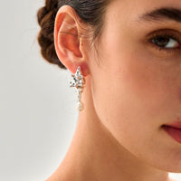Electroformed Conch Stud Earrings, 18K Yellow Gold or Silver
